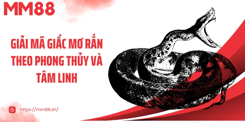 Giải mã giấc mơ rắn theo phong thủy và tâm linh