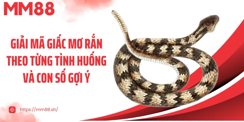 Giải mã giấc mơ rắn theo từng tình huống và con số gợi ý