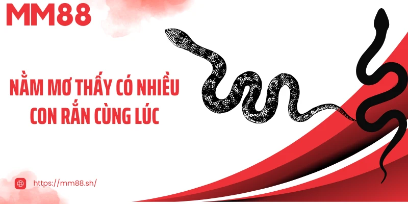 Nằm mơ thấy có nhiều con rắn cùng lúc
