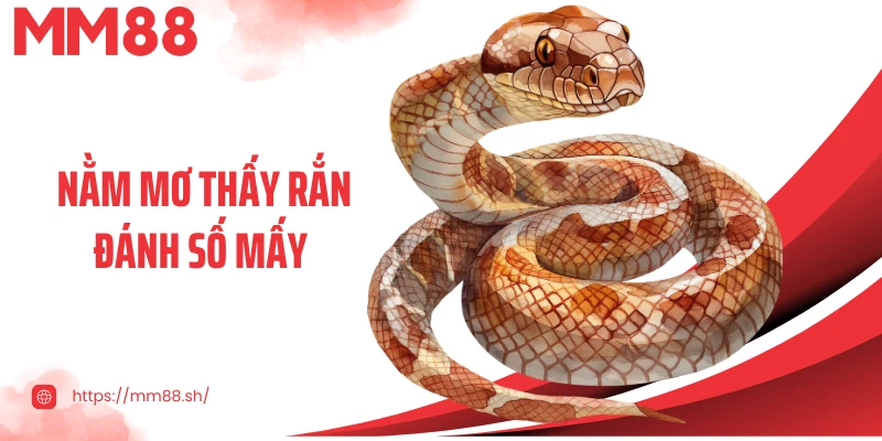 Nằm Mơ Thấy Rắn Đánh Số Mấy: Bí Ẩn Giấc Mơ Và Con Số May Mắn