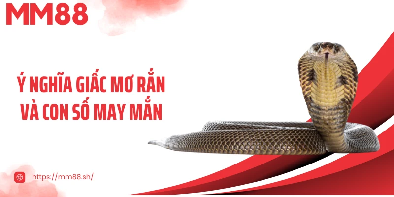 Ý nghĩa giấc mơ rắn và con số may mắn